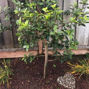 Meet your Posher, Barbara